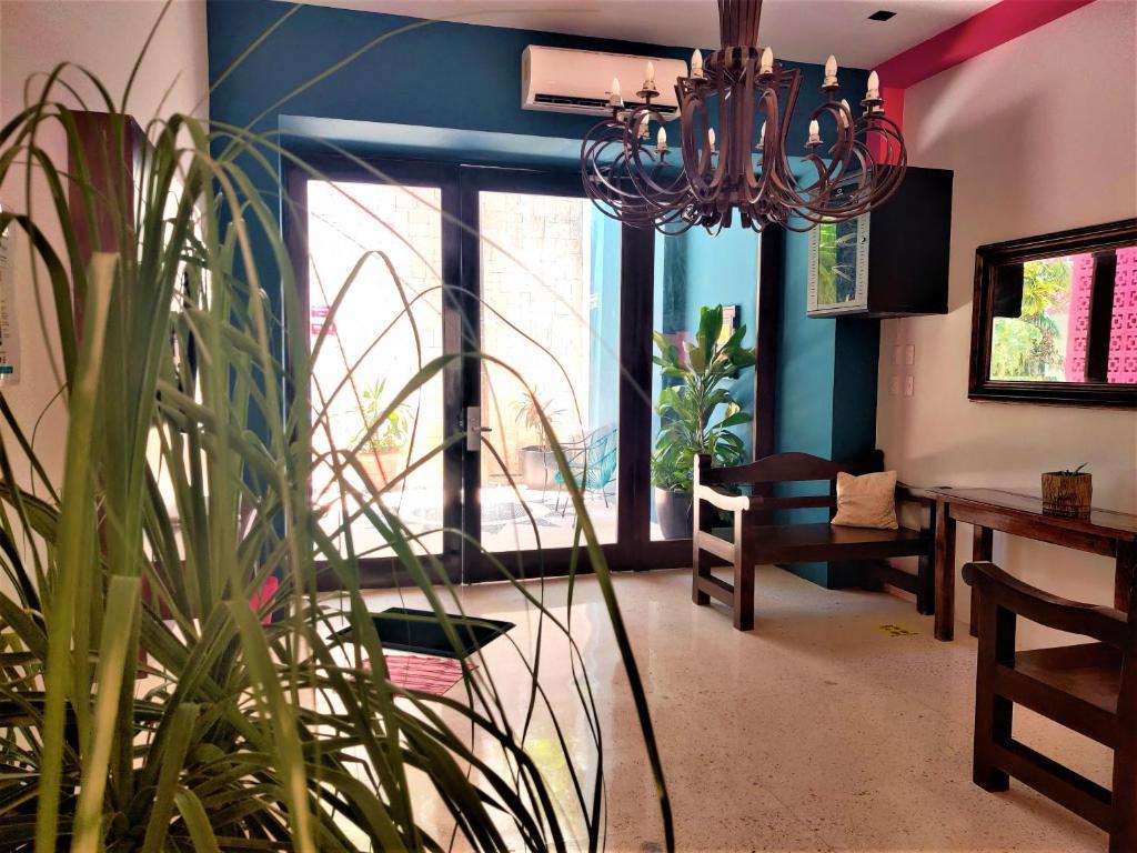 Hotel Mariachi By Kavia 5Th Av ปลายาเดลการ์เมน ภายนอก รูปภาพ